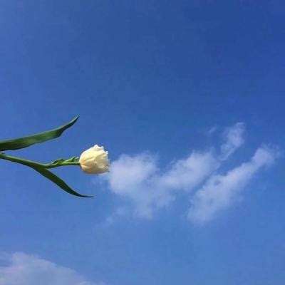 真正的花式足球游戏下载