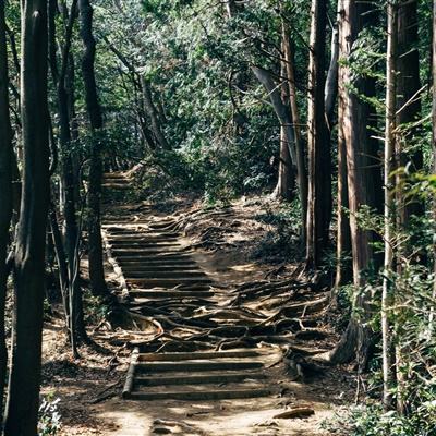 北京再次优化住房限购政策！符合条件家庭购买五环外住房不限套数
